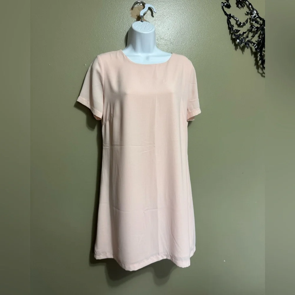 Lulu’s Shift Dress, Sheer‎ Pink, Size M